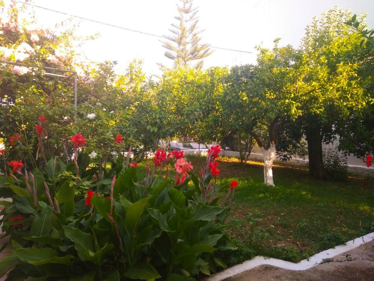 House With Garden Near The Sea Apartment Agia Efimia Exterior photo
