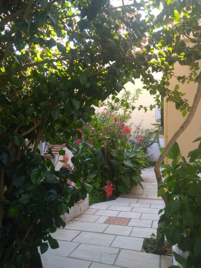 House With Garden Near The Sea Apartment Agia Efimia Exterior photo